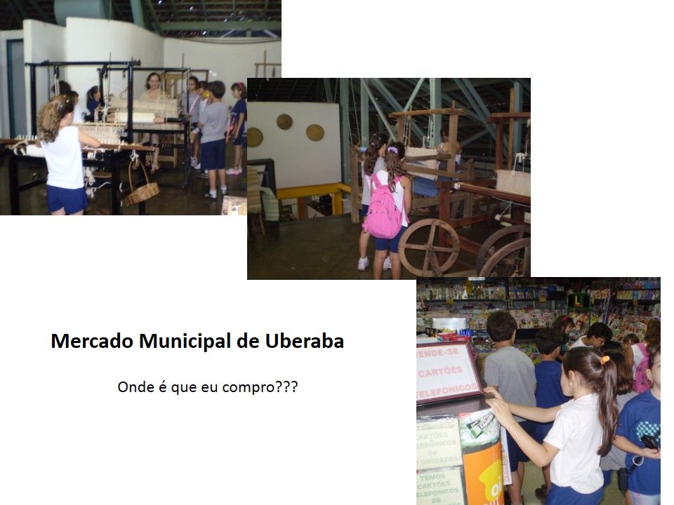 PRÁTICA PEDAGOGICA E A INTERDISCIPLINARIDADE:a historicidade do sujeito letrado.