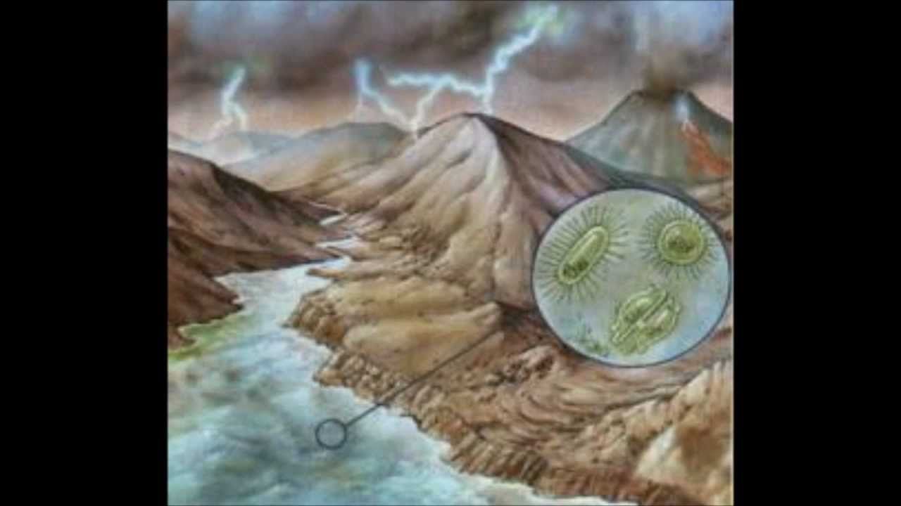 Teoria del origen de los seres vivos