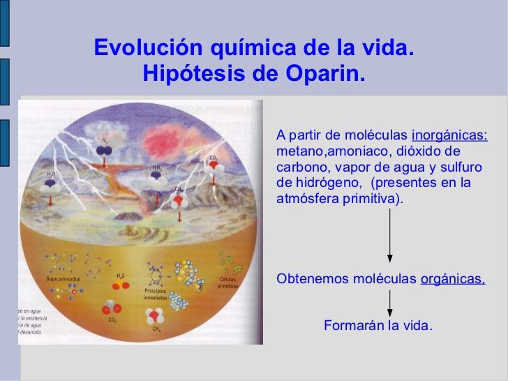 Teoria del origen de los seres vivos