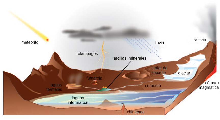 Teoria del origen de los seres vivos