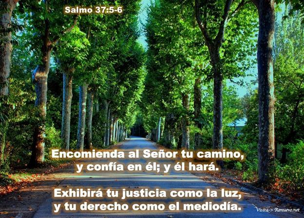 PRINCIPIOS BIBLÍCOS