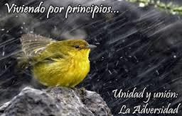 PRINCIPIOS BIBLÍCOS