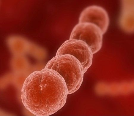 Puerperio. Infección puerperal y trastornos puerperales diferentes a la infección