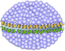 Nano Science