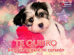 CORRECCION Y EDICION FOTOGRAFICA