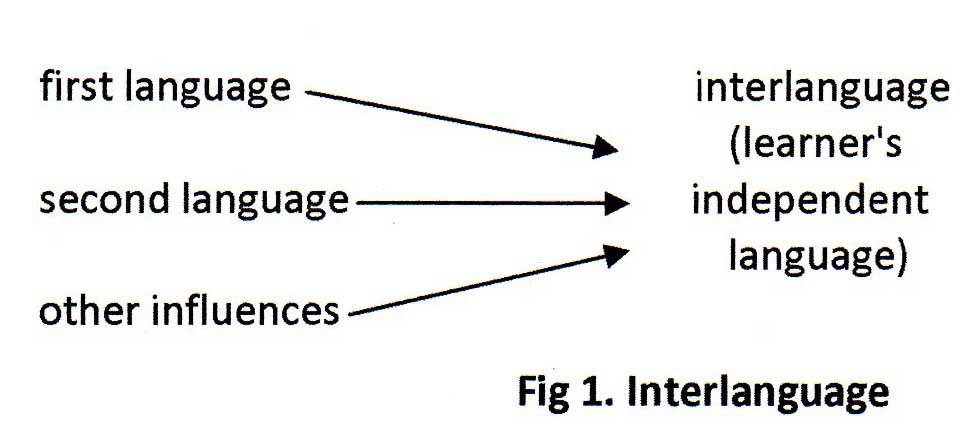 Second Language Acquisition Processes and Theories