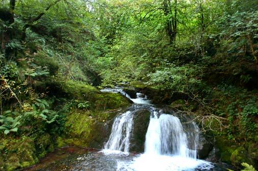 Los parques nacionales y naturales