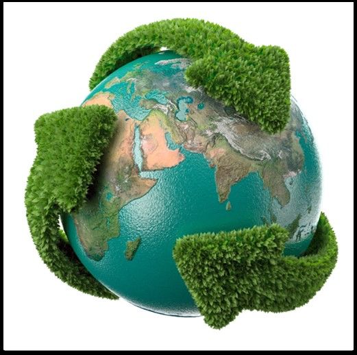 Diferencia entre la ecologia general y la ecologia humana mediante un mapa conceptual