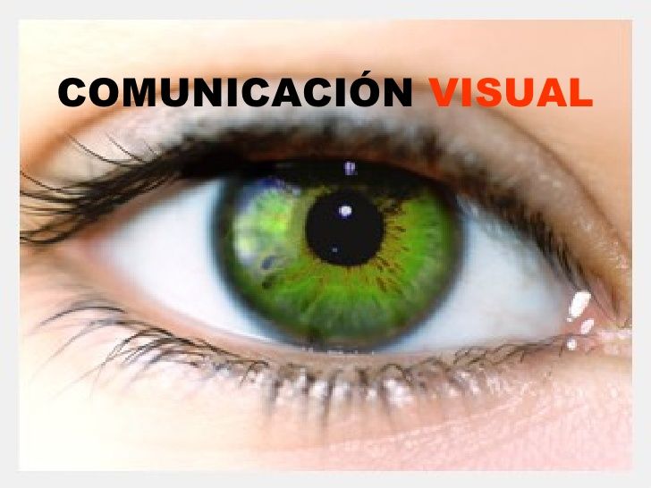 Información Inicial y Entorno de Conocimiento