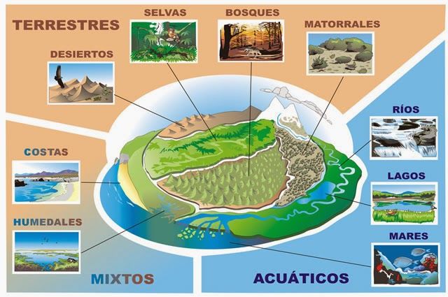 DESARROLLO SOSTENIBLE