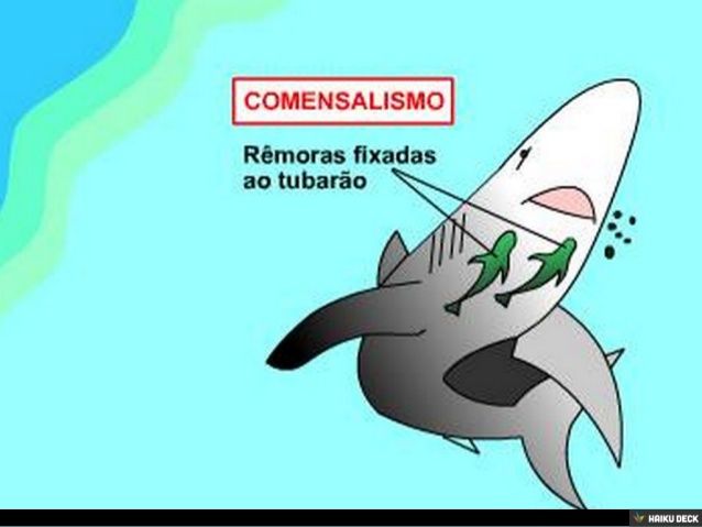 DESARROLLO SOSTENIBLE