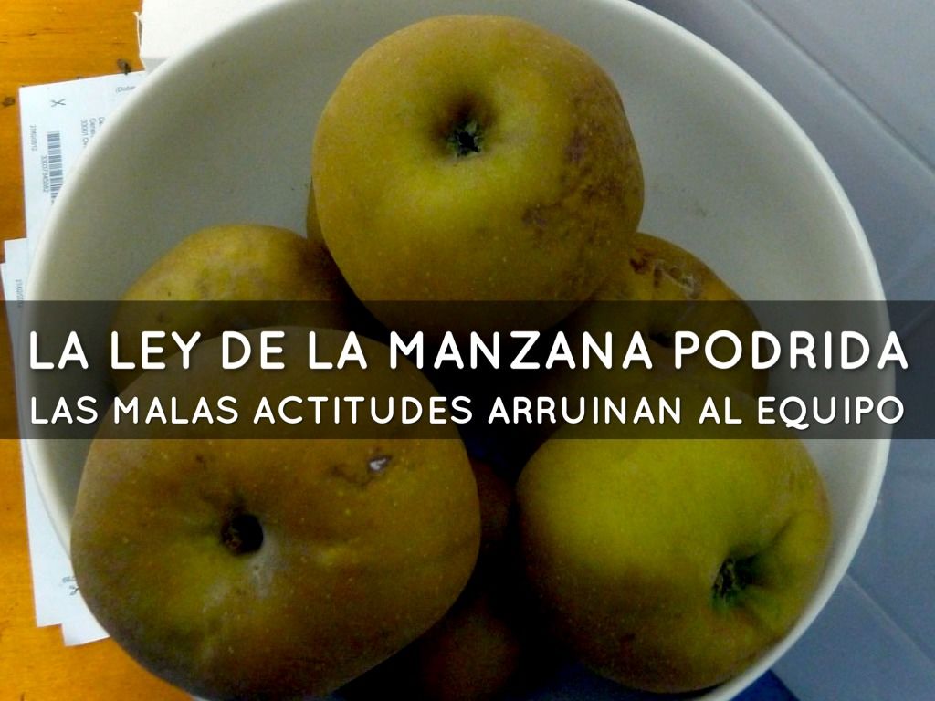 17 LEYES PARA LA GENTE ALTAMENTE EFECTIVA