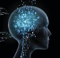 Tecnología, trabajo y disponibilidad humana