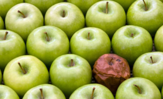 LAS 17 LEYES PARA LA GENTE ALTAMENTE EFECTIVAS