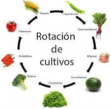 2_CONTROL DE LAS MALEZAS EN LA AGRICULTURA