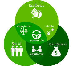 desarrollo sostenible del informe brundtlad