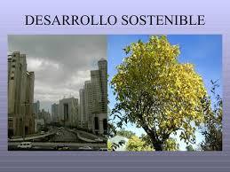 desarrollo sostenible del informe brundtlad