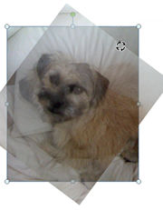 correccion y edicion fotografica 3