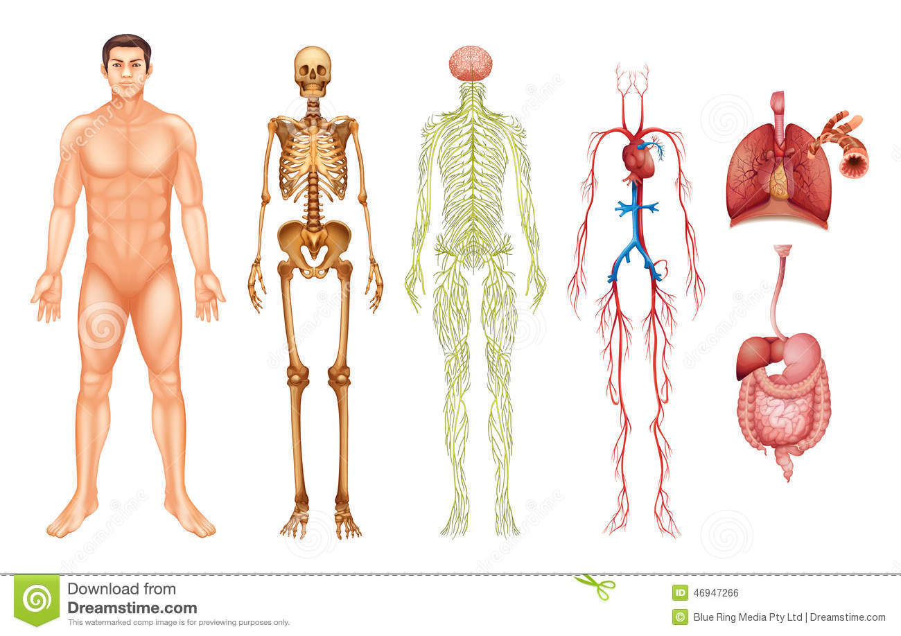Lupus eritematoso sistemico