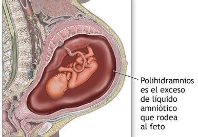 Embarazo pretérmino, postérmino y retardo en el crecimiento