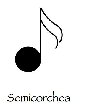 O descubrimento de Rela (5)