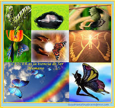 GEOPOLÌTICA DE LA BIODIVERSIDAD