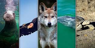 GEOPOLÌTICA DE LA BIODIVERSIDAD