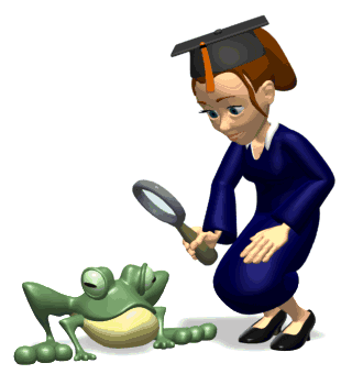 ¿Que es un proyecto pedagogico productivo?