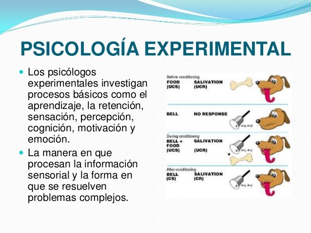 FORMULACIÓN CANÓNICA DE LA PSICOLOGÍA EN EUROPA. PROPUESTA DE WILHELM WUNT