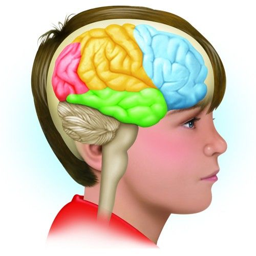 El DESARROLLO PSICOMOTOR DE LOS NIÑOS