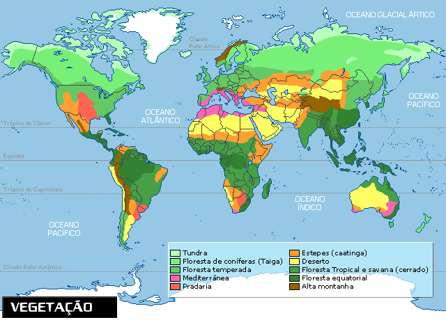 Geografia - Domínio Morfoclimatico Brasileiro | Mapa Mental