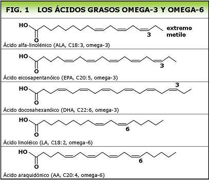 LOS ACIDOS GRASOS OMEGA 3 Y OMEGA 6 NUTRICION , BIOQUIMICA Y SALUD