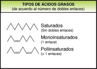 LOS ACIDOS GRASOS OMEGA 3 Y OMEGA 6 NUTRICION , BIOQUIMICA Y SALUD