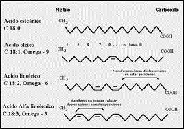 LOS ÁCIDOS GRASOS OMEGA-3 Y OMEGA-6: NUTRICIÓN, BIOQUÍMICA Y SALUD.