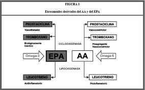 LOS ÁCIDOS GRASOS OMEGA-3 Y OMEGA-6: NUTRICIÓN, BIOQUÍMICA Y SALUD.