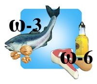 LOS ÁCIDOS GRASOS OMEGA-3 Y OMEGA-6: NUTRICIÓN, BIOQUÍMICA Y SALUD.