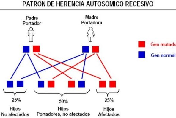 GENÉTICA. DIAGNÓSTICO PRENATAL Y TÉCNICAS INVASIVAS DE MONITORIZACIÓN FETAL. DROGAS Y MEDICAMENTOS