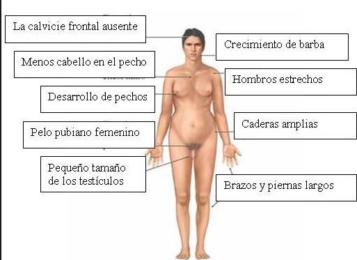 GENÉTICA. DIAGNÓSTICO PRENATAL Y TÉCNICAS INVASIVAS DE MONITORIZACIÓN FETAL. DROGAS Y MEDICAMENTOS