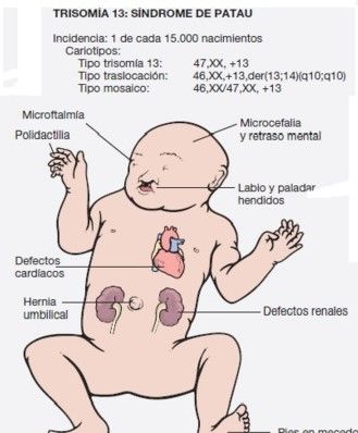 GENÉTICA. DIAGNÓSTICO PRENATAL Y TÉCNICAS INVASIVAS DE MONITORIZACIÓN FETAL. DROGAS Y MEDICAMENTOS