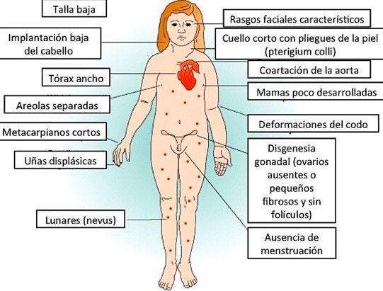 GENÉTICA. DIAGNÓSTICO PRENATAL Y TÉCNICAS INVASIVAS DE MONITORIZACIÓN FETAL. DROGAS Y MEDICAMENTOS