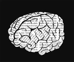 origen y desarrollo de la sociologia.....