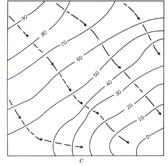 LA SUPERFICIE DE LA TIERRA EN MAPAS
