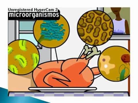 METODOS FISICOS DE CONSERVACION: Altas temperaturas