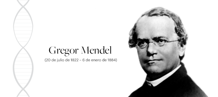 bases fisicas de la herencia...