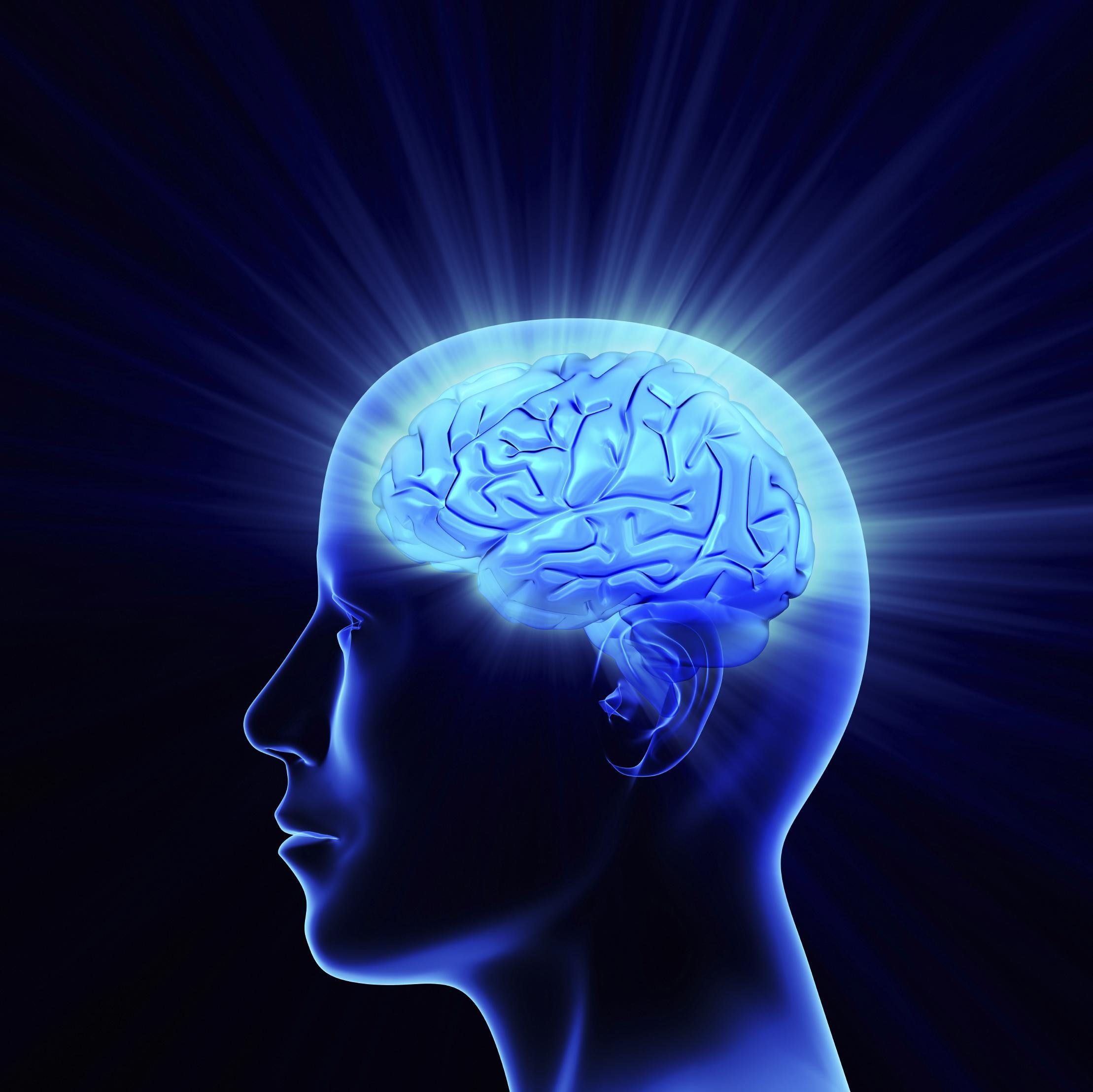Investigación Científica