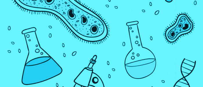Composição Química das Células