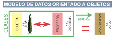 UNIDAD 1:SISTEMAS GESTORES DE BASE DE DATOS