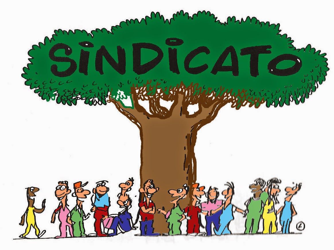 ASOCIACIÓN PROFESIONAL