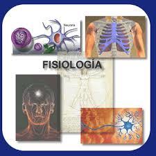 Aporte de la filosofía, Fisiología y Biología a la psicología