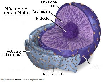HISTORIA DE LA BIOLOGIA Y SUS GRANDES DESCUBRIMIENTOS
